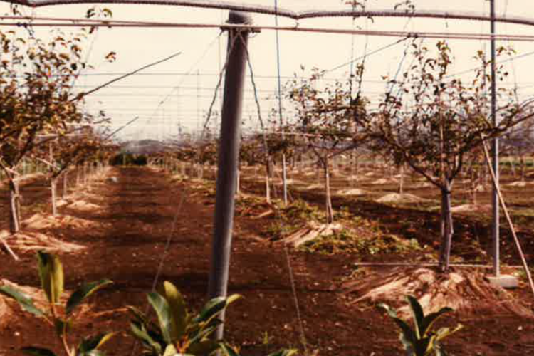 ワイングリップの写真